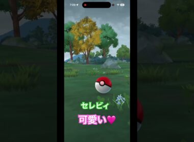 #セレビィ 可愛い🩷 #pokemongo #ポケモンgo