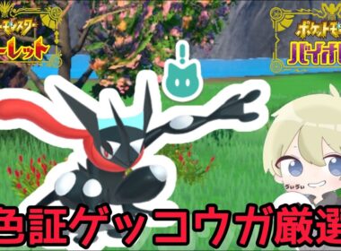 【色違い厳選】色証ゲッコウガを使いたい。色違いケロマツ厳選配信　#ポケモンチャンピオンズ #pokemon #ポケモンSV #shorts