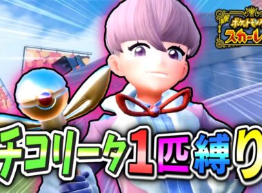 スター団の御曹司！VSオルティガ！！ポケモンSVチコリータ1匹縛り！Part14【ポケモンSV】【ゆっくり実況】