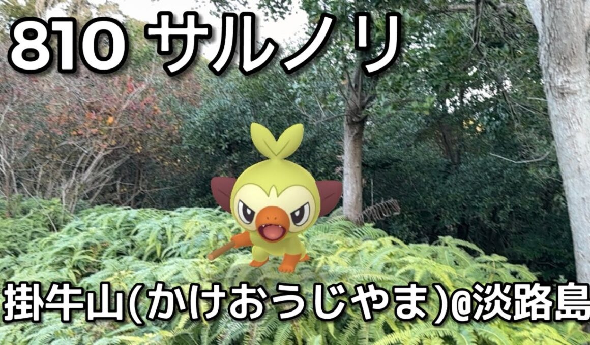 【ポケGO動くポケモンずかん】810サルノリ｜Grookey｜ShinyPokémon【ポケモンGO】PoKeMoN GO AR｜AR動画｜GOsnapshot｜PokemonGO