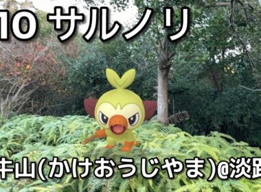【ポケGO動くポケモンずかん】810サルノリ｜Grookey｜ShinyPokémon【ポケモンGO】PoKeMoN GO AR｜AR動画｜GOsnapshot｜PokemonGO