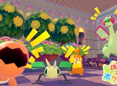ナックラー、ビブラーバ、フライゴンのおうちつくるぞ！【ぽこあポケモン】