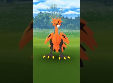 【ポケモンGO】２日連続のガラル三鳥！二体目のガラルサンダーGetなるか！？#ポケモン #ポケモンgo #おさんぽおこう #ガラル三鳥#ガラルサンダー#shorts