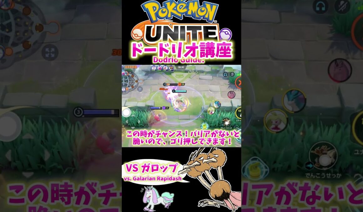 ドードリオ講座 〜vsガラルギャロップ〜 / Dodrio Guide: vs. Galarian Rapidash【ポケモンユナイト / Pokémon UNITE】