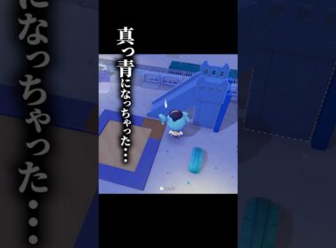 やっちまったぜメタモン【#ぽこあポケモン 】