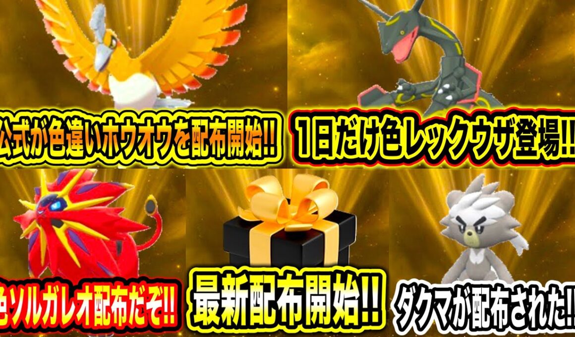 【緊急速報】公式から最新配布開始！！色違いのゼラオラが配布が始まった件について！公式からアルセウスの配布来る！オリパ開封神引き！【ポケモンSV/スカーレットバイオレット/チャンピオンズ/GO/ポケカ】