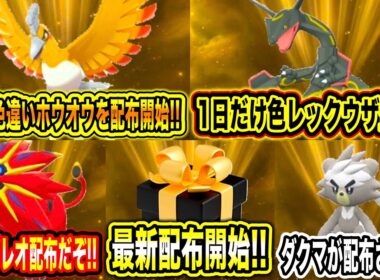 【緊急速報】公式から最新配布開始！！色違いのゼラオラが配布が始まった件について！公式からアルセウスの配布来る！オリパ開封神引き！【ポケモンSV/スカーレットバイオレット/チャンピオンズ/GO/ポケカ】