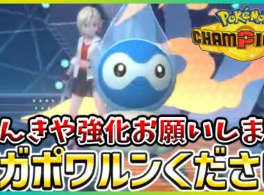 【ポケモン賭博黙示録#21-1】ポワルンの強化案をまとめてゲーフリに提出したい【ポケモンチャンピオンズ/レギュM-B】