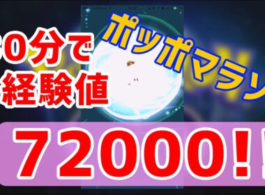 【ポケモンGO】効率的なレベル上げ方法ポッポマラソン解説