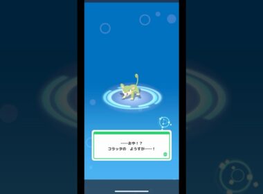【ポケモンスリープ】コラッタ色違い進化