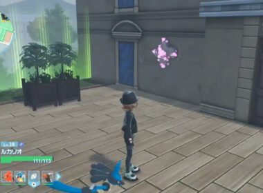ポケモンレジェンズZA ワイルドゾーン6 捕獲ポケモン☆参考動画