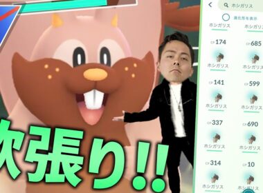 ヨクバリスでレート欲張れる！？ホシガリスのスポアワ厳選【ポケモンGO】