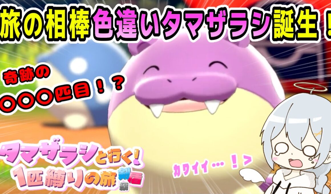 【ポケモン剣盾】国際孵化で色違いタマザラシが〇〇〇匹目に誕生し、運命を感じるれのはさん | タマザラシと行く！1匹縛りの旅～剣盾編～