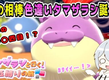 【ポケモン剣盾】国際孵化で色違いタマザラシが〇〇〇匹目に誕生し、運命を感じるれのはさん | タマザラシと行く！1匹縛りの旅～剣盾編～