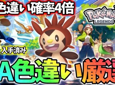 ケロマツの色違いを絶対にだす【ポケモンレジェンズza】