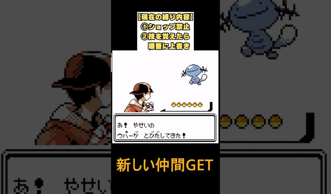 ウパーかわいいよウパー　ポケモン銀【縛ってニューゲーム】