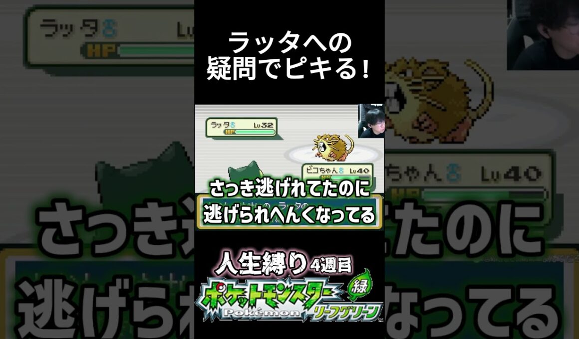 ラッタへの疑問でピキる! #ポケモン #ポケモン新作 #ポケモンリーフグリーン