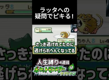 ラッタへの疑問でピキる! #ポケモン #ポケモン新作 #ポケモンリーフグリーン
