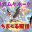 【チャンピオン級】メガムクホークで39位から潜るランクマ