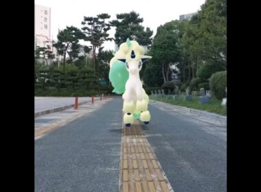 가라르 포니타 ( Galarian Ponyta ) ガラルポニータ ( 小火馬 )