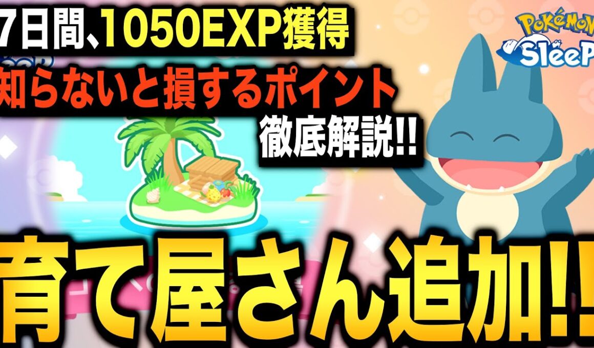 知らないと損するポイント押さえとこ！ゴンベのおひるね島解説【ポケモンスリープ】