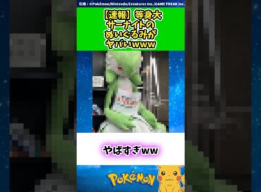 【速報】等身大サーナイトのぬいぐるみがヤバいwww  #ポケモン #反応集