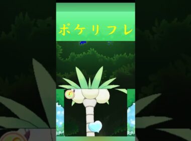ナッシー(アローラのすがた) ポケモン ポケリフレ ポケパルレ #ポケモン #Pokemon  #3DS #nintendoswitch #ポケモンsv #ポケモン #キャンプ #サンドイッチ
