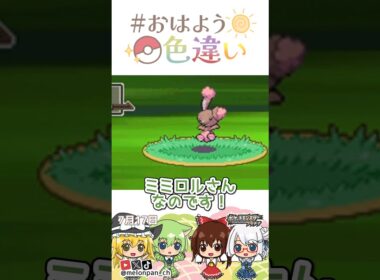 ☀️ふわふわもっふもふ！色違いミミロル🐰✨2026年7月17日 #おはよう色違い #おは色 #ポケモン