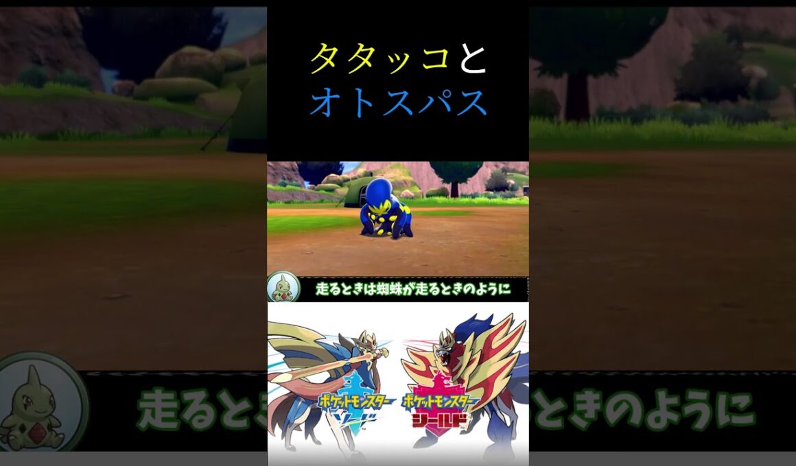 タタッコ＆オトスパスの生態動画 #ポケモン #ポケモン剣盾