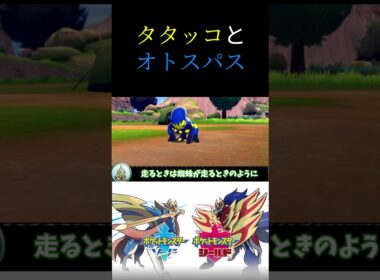 タタッコ＆オトスパスの生態動画 #ポケモン #ポケモン剣盾