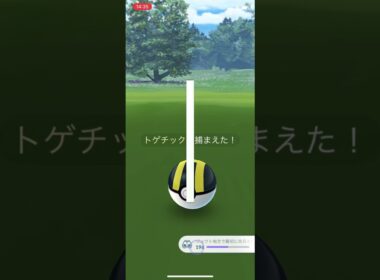【ポケモンGO】色違いトゲチック！コミュニティデイ　#shorts