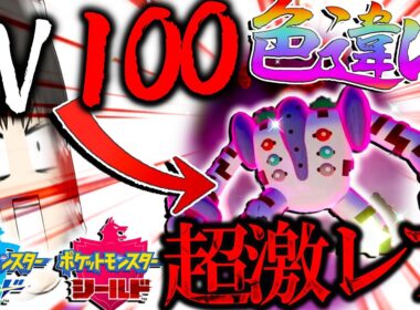 【レベル100】で出る超激レアな色違いレジギガスがほしい！！！【ポケモン剣盾・ゆっくり実況】