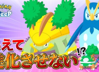 【ポケモンスリープ】ハヤシガメとポッタイシを進化させないのもアリ？他のポケモン比較してみた