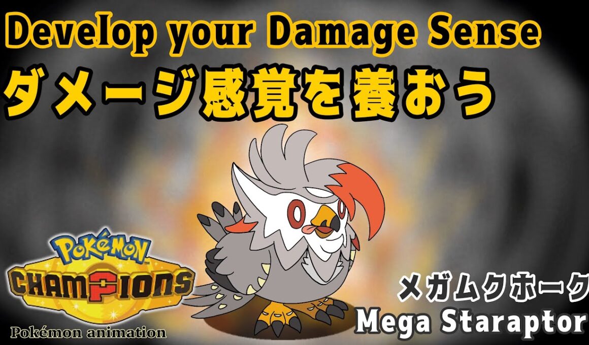 【ポケモンチャンピオンズ】ダメージ感覚を養おう！：メガムクホーク編