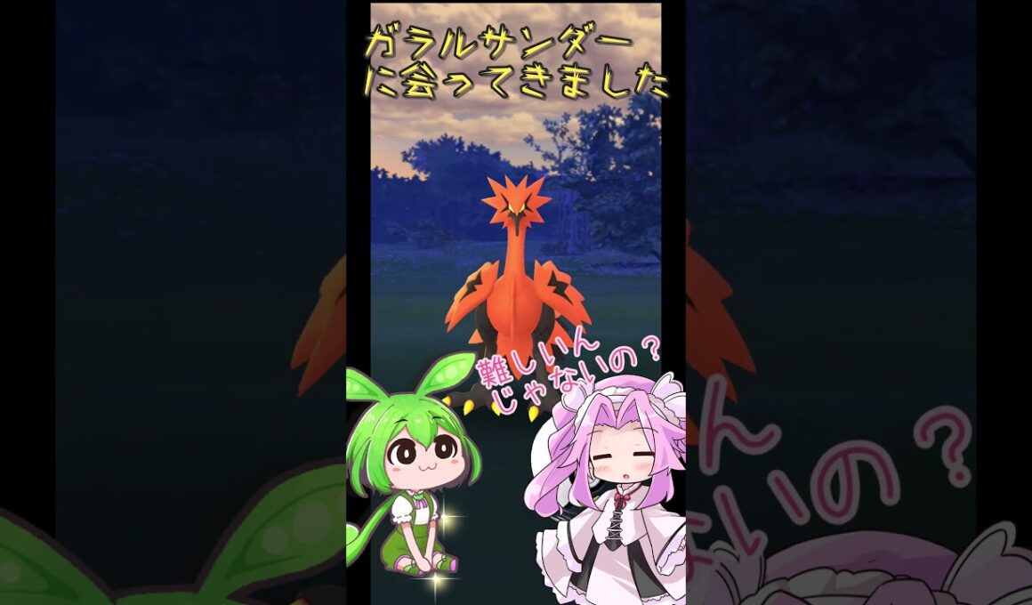 【ポケモンGO】ガラルサンダーに遭遇したのだ【PokémonGO】 #shorts #ポケモン #ガラル三鳥  #voicevox #pokemongo #ずんだもん #四国めたん