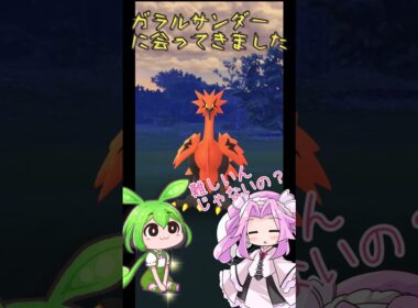 【ポケモンGO】ガラルサンダーに遭遇したのだ【PokémonGO】 #shorts #ポケモン #ガラル三鳥  #voicevox #pokemongo #ずんだもん #四国めたん