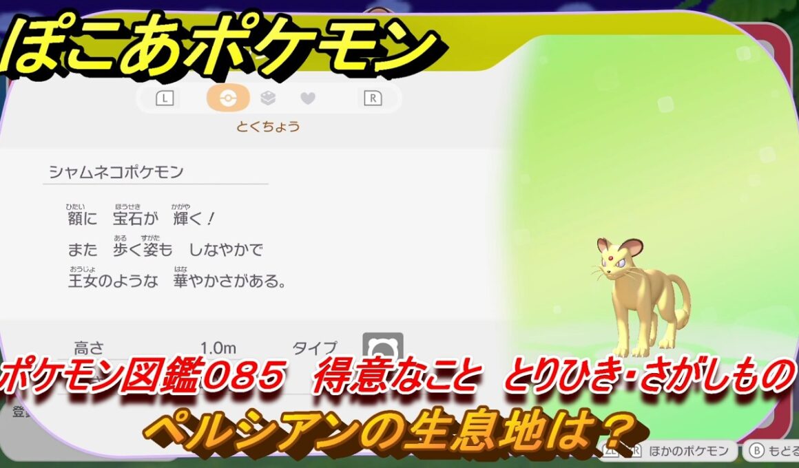 ぽこあポケモン　ペルシアンの生息地は？　ポケモン図鑑０８５　得意なこと　とりひき・さがしもの　＃８３０　【ぽこポケ】