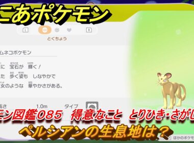 ぽこあポケモン　ペルシアンの生息地は？　ポケモン図鑑０８５　得意なこと　とりひき・さがしもの　＃８３０　【ぽこポケ】