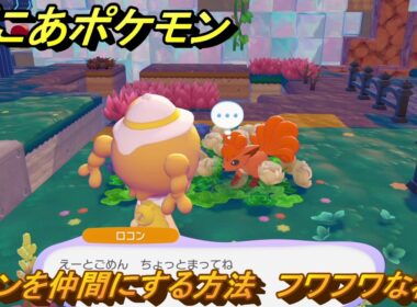 ぽこあポケモン　ロコンを仲間にする方法　フワフワな花畑　＃１６２　【ぽこポケ】