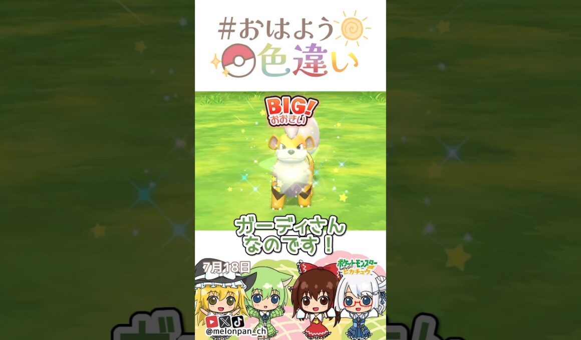☀️カッコかわいい！色違いガーディ🚨✨2026年7月17日 #おはよう色違い #おは色 #ポケモン
