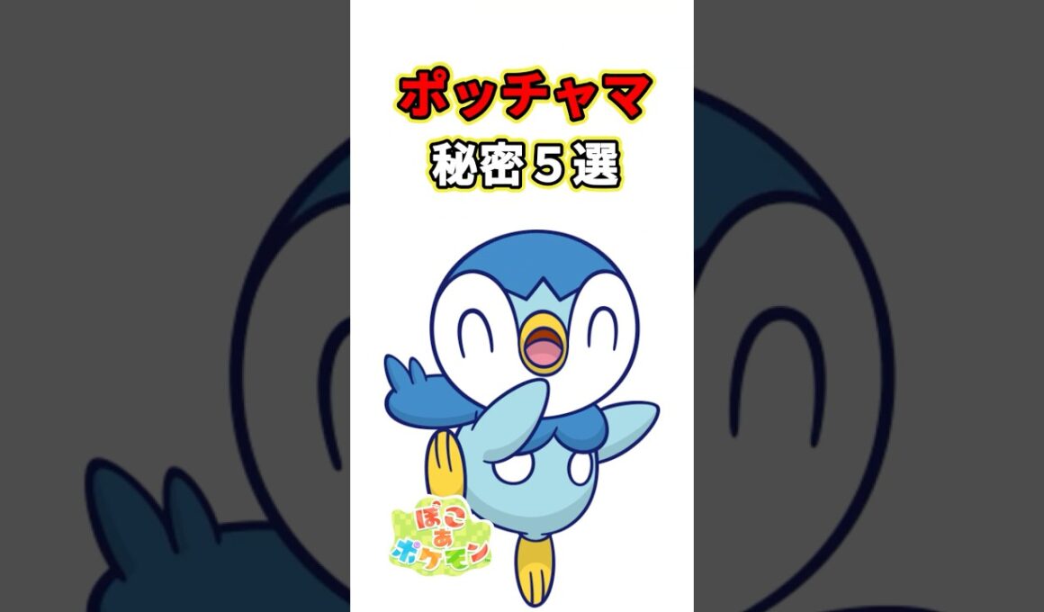 ポッチャマの秘密５選　ポケモン解説