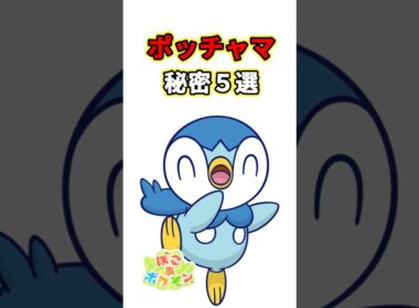 ポッチャマの秘密５選　ポケモン解説