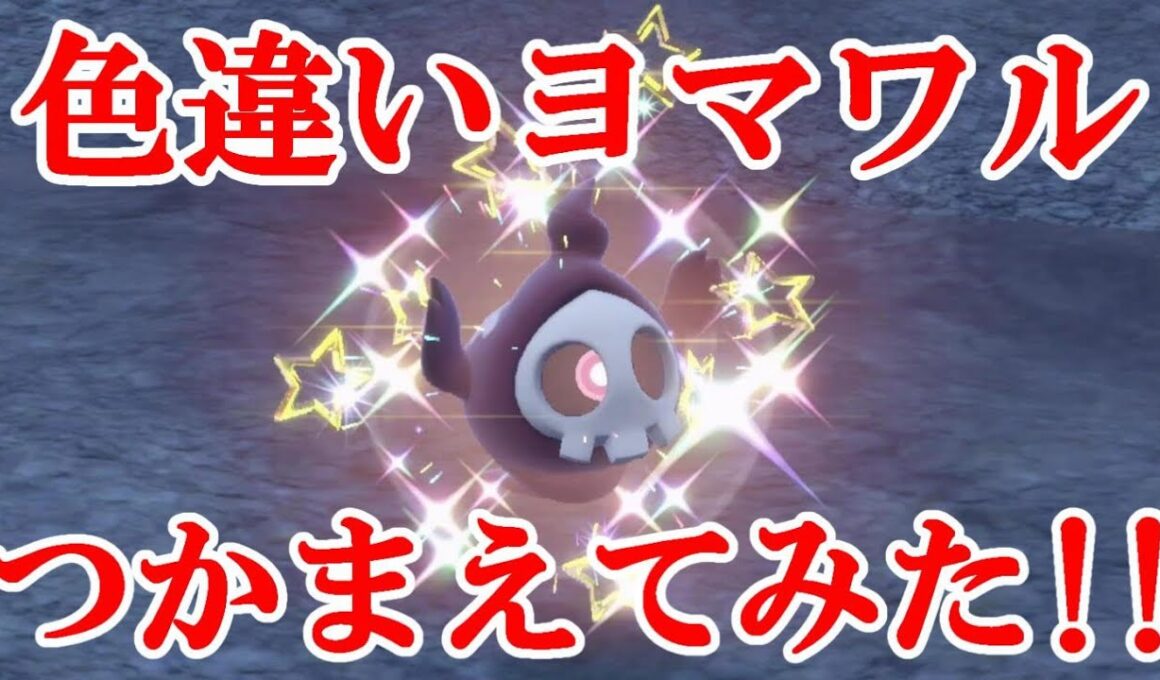 【ポケモンSV】色違いヨマワルつかまえてみた！！