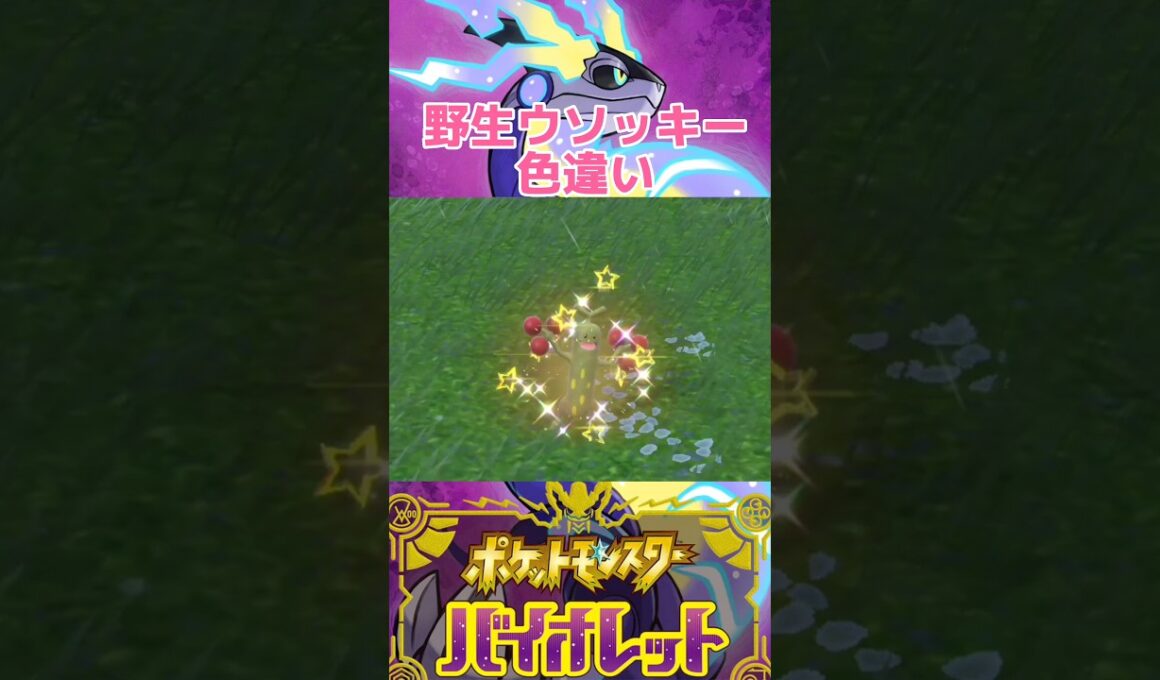 野生ウソッキー色違い【ポケモンSV】 #shorts