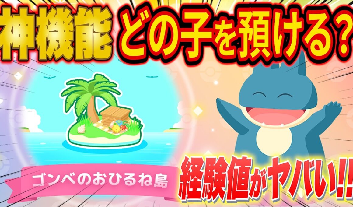 異次元の経験値！ポケスリ新機能「ゴンべのおひるね島」おすすめポケモンをガチ勢が徹底解説【ポケモンスリープ/3周年記念フェスティバル】