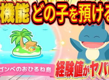 異次元の経験値！ポケスリ新機能「ゴンべのおひるね島」おすすめポケモンをガチ勢が徹底解説【ポケモンスリープ/3周年記念フェスティバル】