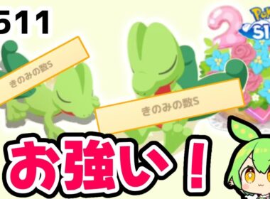 【睡眠リサーチ】＃511『お強いキモリがキター！』【ポケモンスリープ/pokemon sleep】【無課金ゴプラ勢】【ゆっくり実況ずんだもん】
