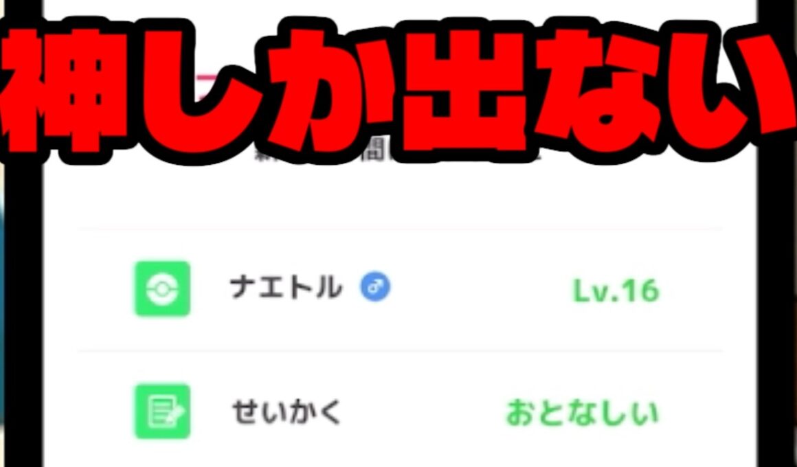 ナエトルのやる気を日々感じる。【ポケモンスリープ】