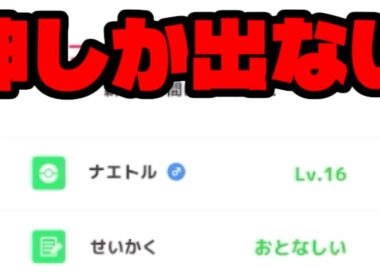 ナエトルのやる気を日々感じる。【ポケモンスリープ】