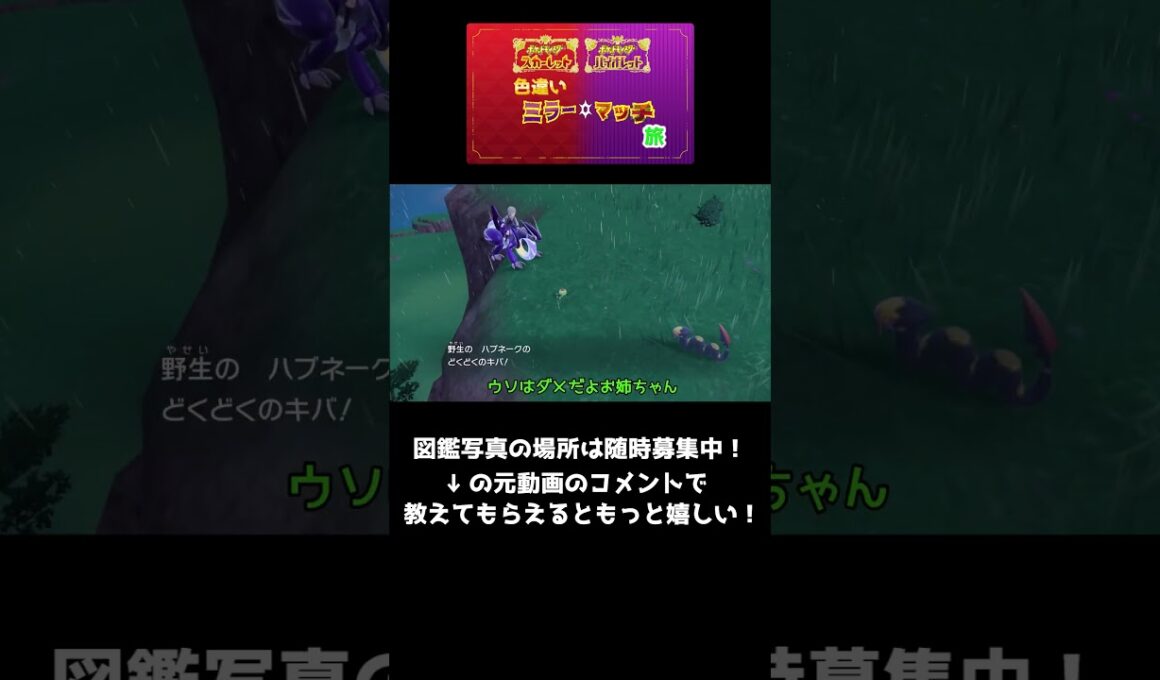 さとり・こいしの色違い図鑑写真部＃７カムカメ　捜索難易度・ムズカしメ　　ポケモンSV色違いミラーマッチ旅番外#２　の番外　 #ポケモンsv #ポケモン #色違いの旅 #ゆっくり実況